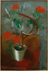 Rote Blumen