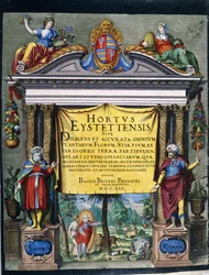 Gravierte Titel für das Florilegium "Hortus Eystettensis" von Basilius Besler