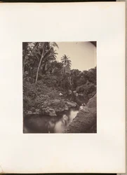 Fluss bei Kupang