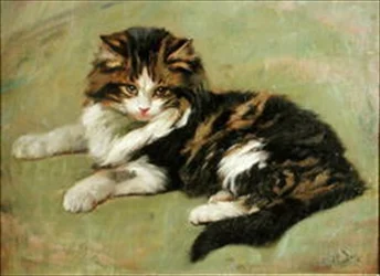 Studie einer Katze