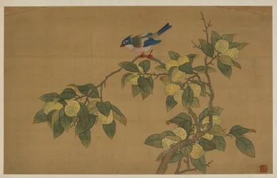 Vogel und Frucht