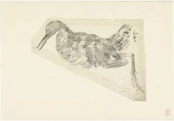 Toter Wasservogel