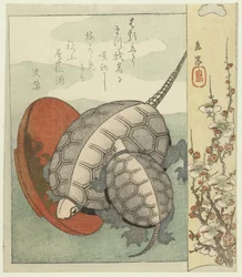 Schildkröten mit Sake-Schälchen