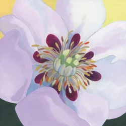 Lebendige Magnolienblätter