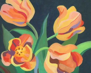 Lebendige Orange Tulpen