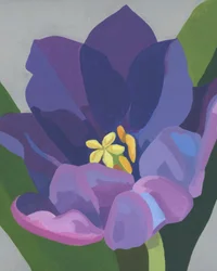 Lebendige Lila Blume