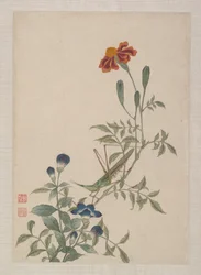Vögel, Insekten und Blumen