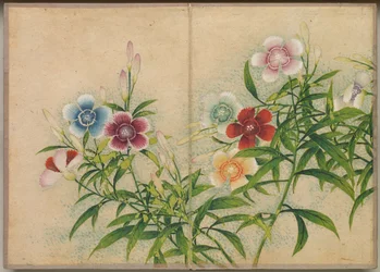 Schreibtischalbum: Blumen- und Vogelmalereien Nelken, 18. Jahrhundert