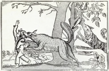 Der Wolf ca. 1820 (Gravur)