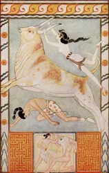 Die Stierkämpfer, Illustration aus 