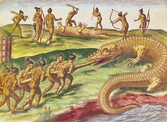 Krokodiljagd, aus 