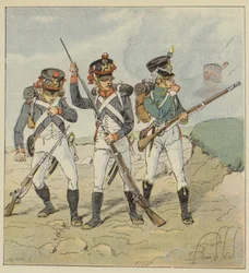 Junge Garde, 1806, Rekrut-Grenadier, Scharfschützen-Grenadier, Flankeur-Jäger