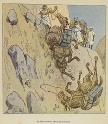 Maultiere stürzen in eine Schlucht
