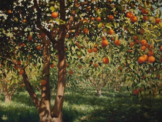 Stille unter den Orangen II, 2012