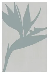 Paradiesvogel Silhouette