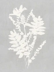 Botanische Silhouettenstudie