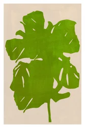 Grüne Monstera-Silhouette