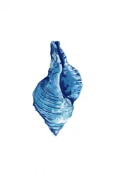 Aquarell Blaues Muschel