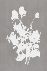 Weiße Blumensilhouette