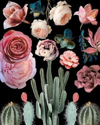 Kakteenblüten Botanisch