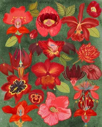 Exotische rote Blumenkollektion
