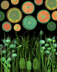 Fantasie Botanische Muster