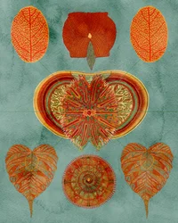 Komplexes botanisches Arrangement