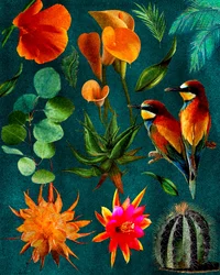 Tropische Vögel und Blüten