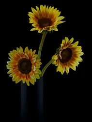 Goldenes Sonnenblumenarrangement