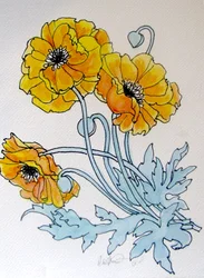 Mohnblumen, 2015