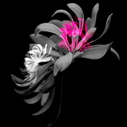 Frühlingsblumencollage, 2018